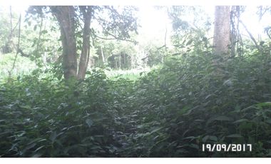 Venta lote en Santa Marta, Magdalena