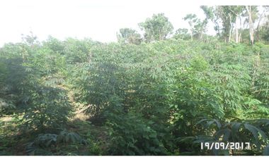 Venta lote en Santa Marta, Magdalena