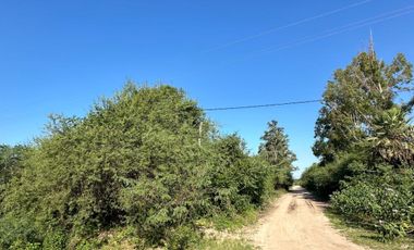 VENDE amplio lote de 15.400m2 en Curuzu La Novia