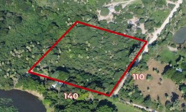 VENDE amplio lote de 15.400m2 en Curuzu La Novia