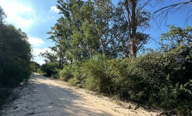 VENDE amplio lote de 15.400m2 en Curuzu La Novia