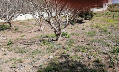 Venta lote Punta Roca, Sabanilla Puerto Colombia