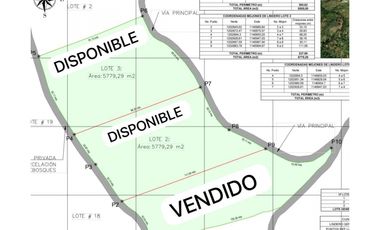 VENTA LOTES EN PARCELACIÓN, SAN JERÓNIMO-ANT