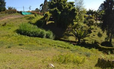 LOTE  INDEPENDIENTE EN VENTA LAS PALMAS  EN PARCELACIÓN