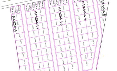 LOTES EN CONDOMINIO ECOTURISTICO EN SAN BERNARDO DEL VIENTO