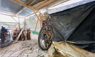 Venta de Finca productora en San Roque, Antioquia