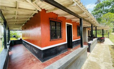 Venta de Finca productora en San Roque, Antioquia