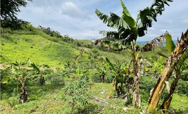 Venta de Finca productora en San Roque, Antioquia