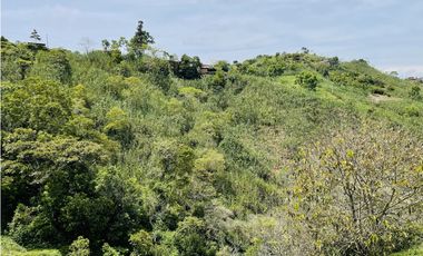 Venta de Finca productora en San Roque, Antioquia