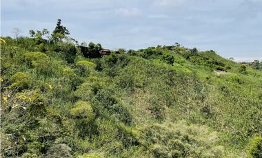 Venta de Finca productora en San Roque, Antioquia