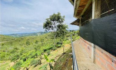 Venta de Finca productora en San Roque, Antioquia