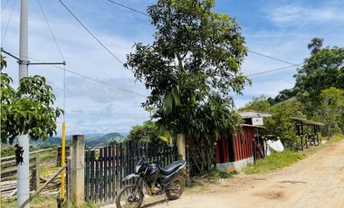 Venta de Finca productora en San Roque, Antioquia