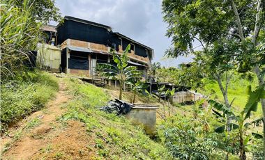 Venta de Finca productora en San Roque, Antioquia