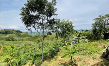 Venta de Finca productora en San Roque, Antioquia