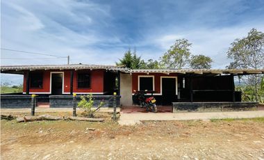 Venta de Finca productora en San Roque, Antioquia