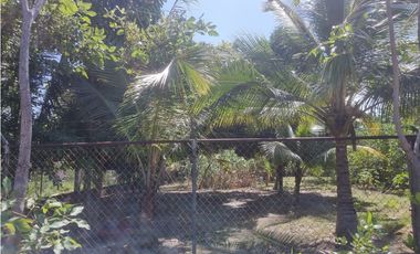Se vende casa en Gorgona