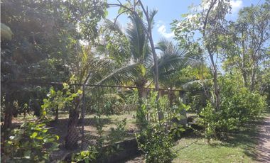 Se vende casa en Gorgona