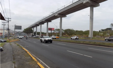 Locales Comerciales en Alquiler – Plaza Roosevelt, Vía Tocumen