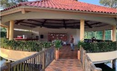 Lotes en venta en pilamo Monteria