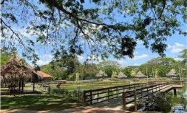 Lotes en venta en pilamo Monteria