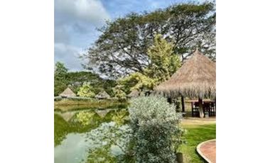 Lotes en venta en pilamo Monteria