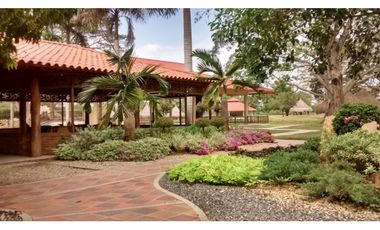 Lotes en venta en pilamo Monteria