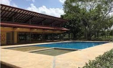 Lotes en venta en pilamo Monteria
