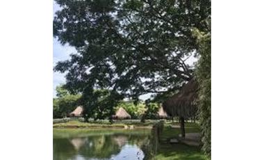 Lotes en venta en pilamo Monteria