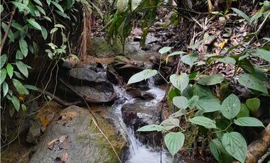 Se vende finca de 30 hectáreas en San Roque, Antioquia