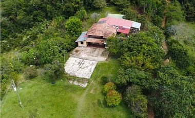 Se vende finca de 30 hectáreas en San Roque, Antioquia