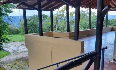 Se vende finca de 30 hectáreas en San Roque, Antioquia