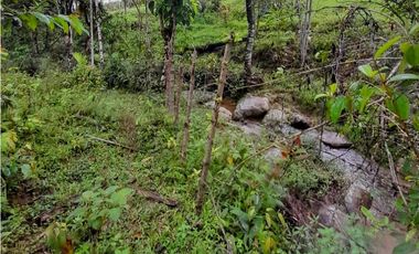 Se vende finca de 30 hectáreas en San Roque, Antioquia