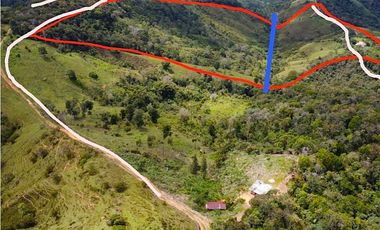 Se vende finca de 30 hectáreas en San Roque, Antioquia