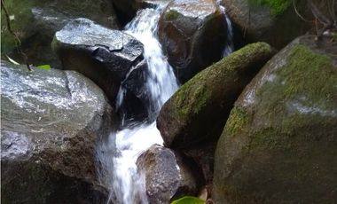 Se vende finca de 30 hectáreas en San Roque, Antioquia