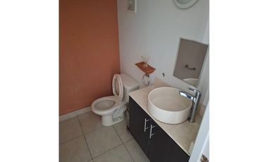 ¡¡OFERTA !! SE ALQUILA ESPECTACULAR CASA EN VERSALLES