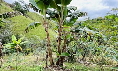 Se vende casa campestre por terminar en San Roque, Antioquia