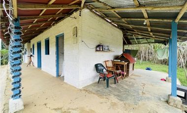 Se vende Finca productora en San Roque, Antioquia