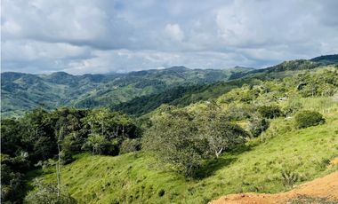 Se vende Finca productora en San Roque, Antioquia