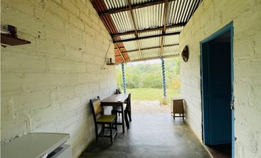 Se vende Finca productora en San Roque, Antioquia