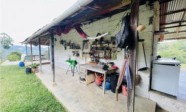Se vende Finca productora en San Roque, Antioquia