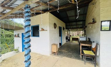 Se vende Finca productora en San Roque, Antioquia