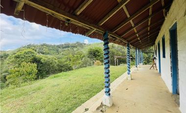 Se vende Finca productora en San Roque, Antioquia