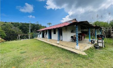 Se vende Finca productora en San Roque, Antioquia