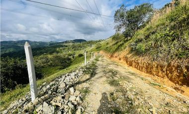 Se vende Finca productora en San Roque, Antioquia