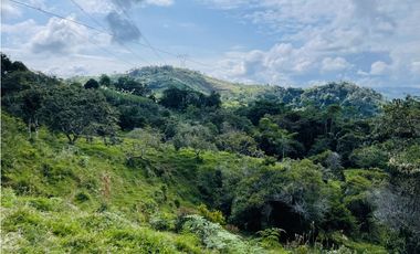 Se vende Finca productora en San Roque, Antioquia