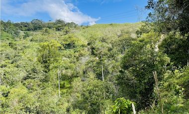 Se vende Finca productora en San Roque, Antioquia