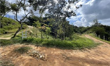 Se vende Finca productora en San Roque, Antioquia