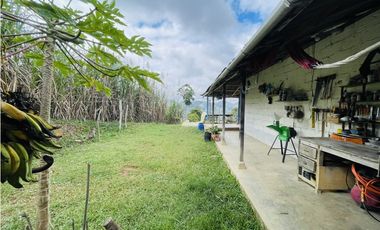 Se vende Finca productora en San Roque, Antioquia