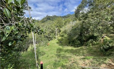 Se vende Finca productora en San Roque, Antioquia