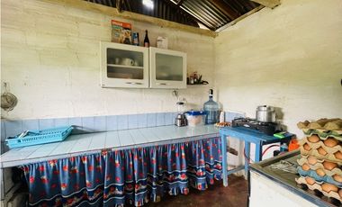 Se vende Finca productora en San Roque, Antioquia